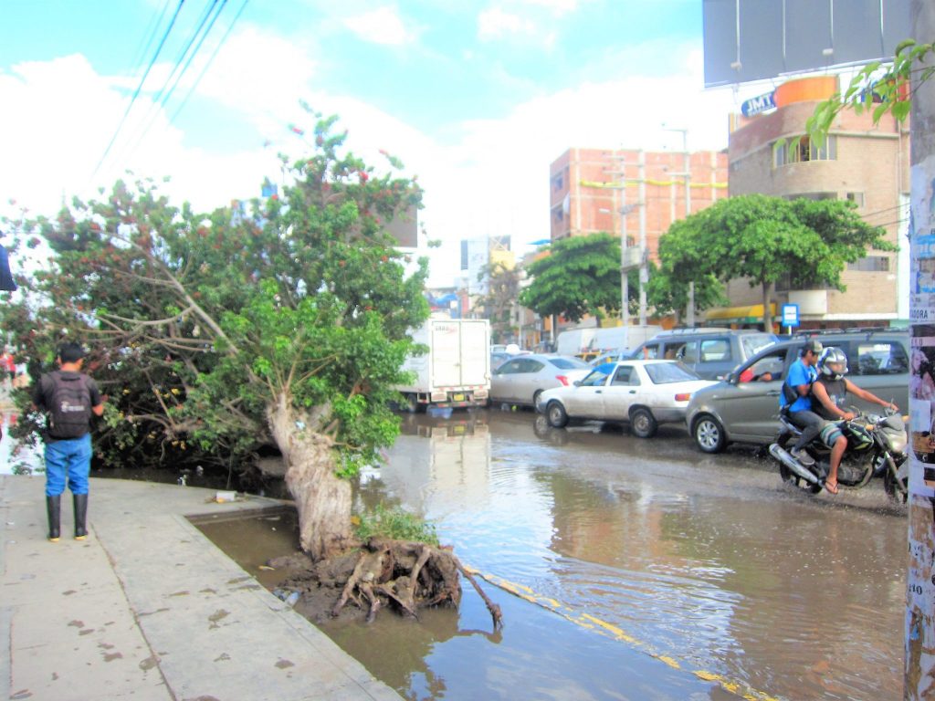 南米、ペルー、我が家、大雨、浸水、洪水