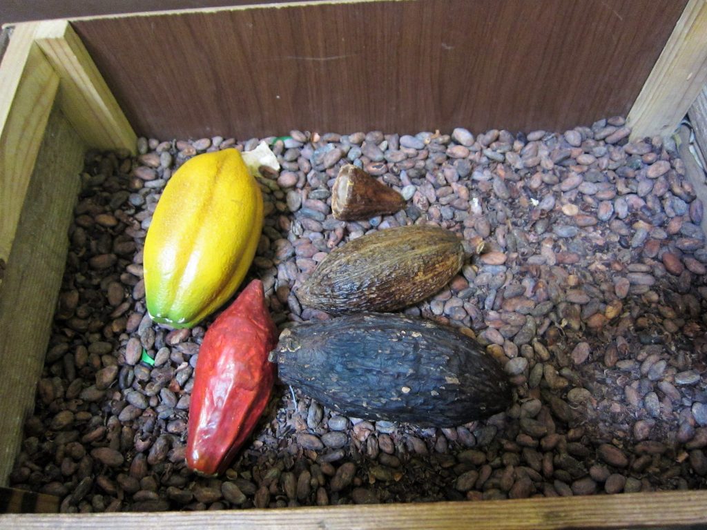 ペルー、クスコ、チョコ、博物館