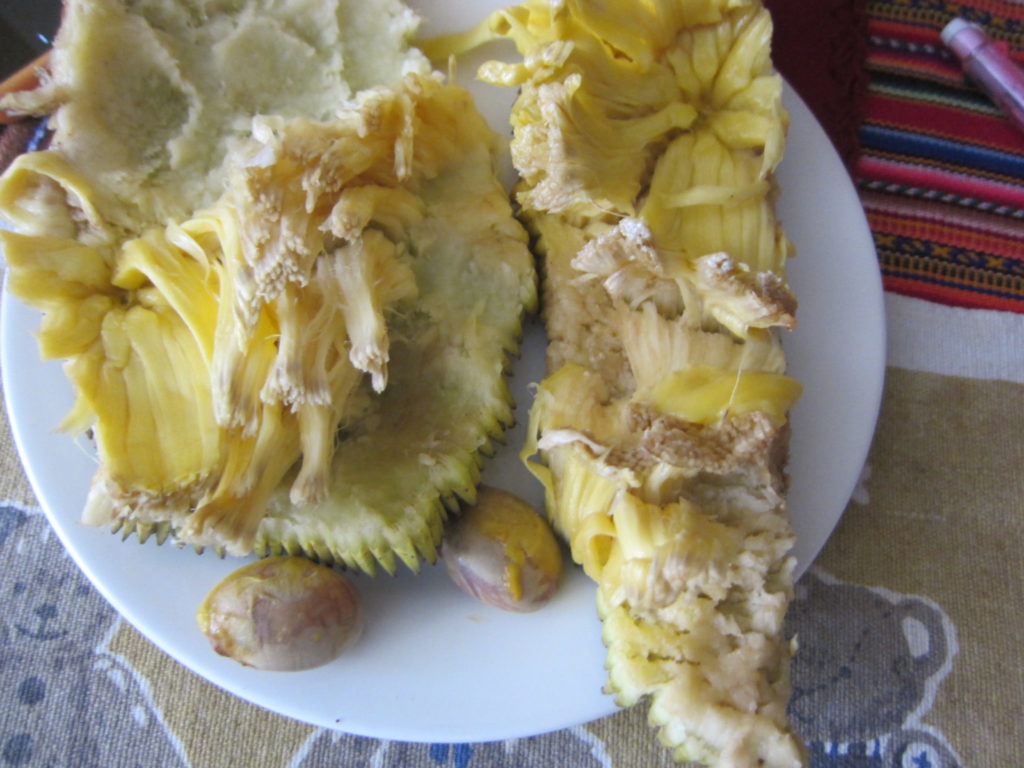 ペルー, おいしい, 果物, Yaca, Panapen, Arbol del Pan, jackfruit