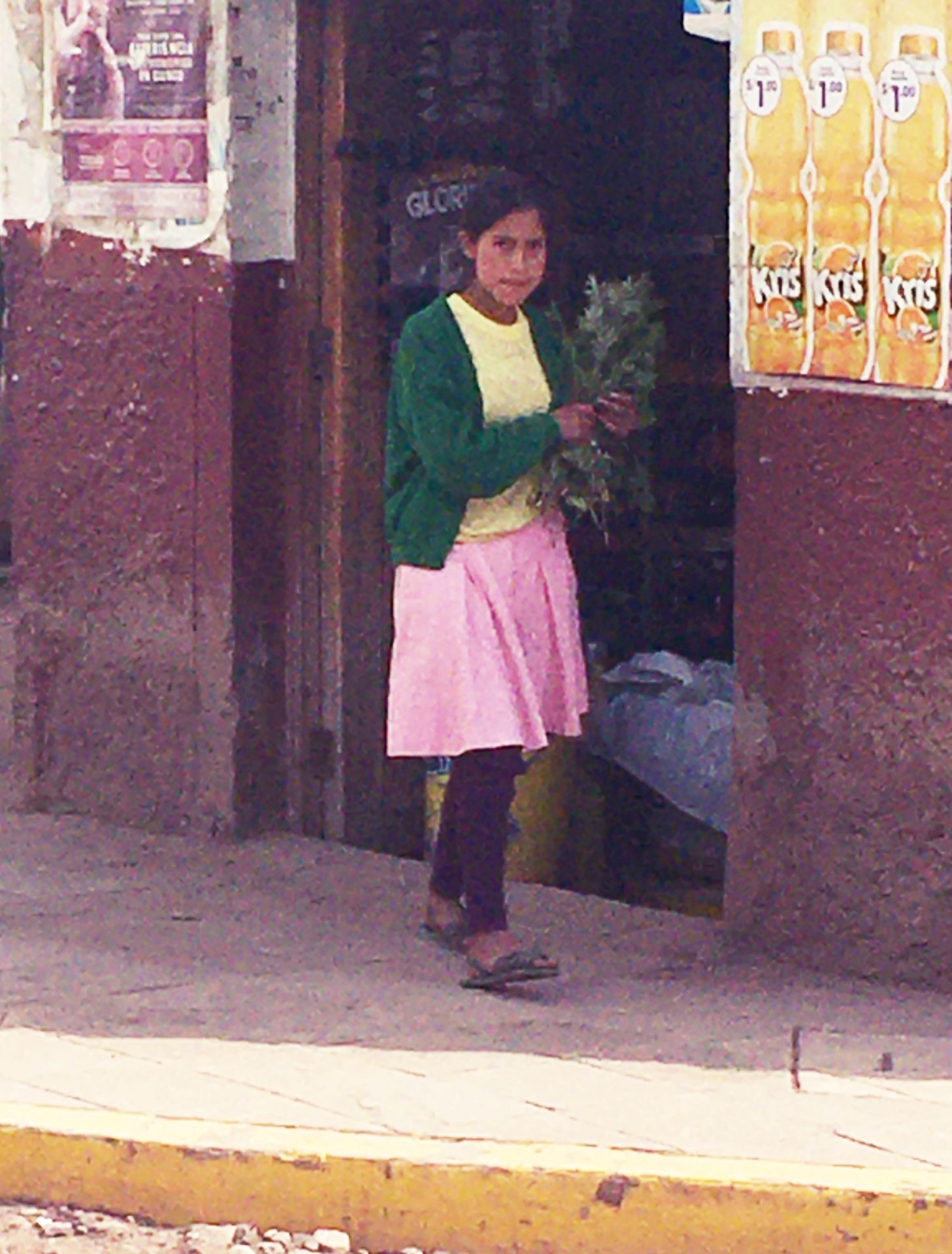 ペルー, 薬草, 貧しい, 子ども
