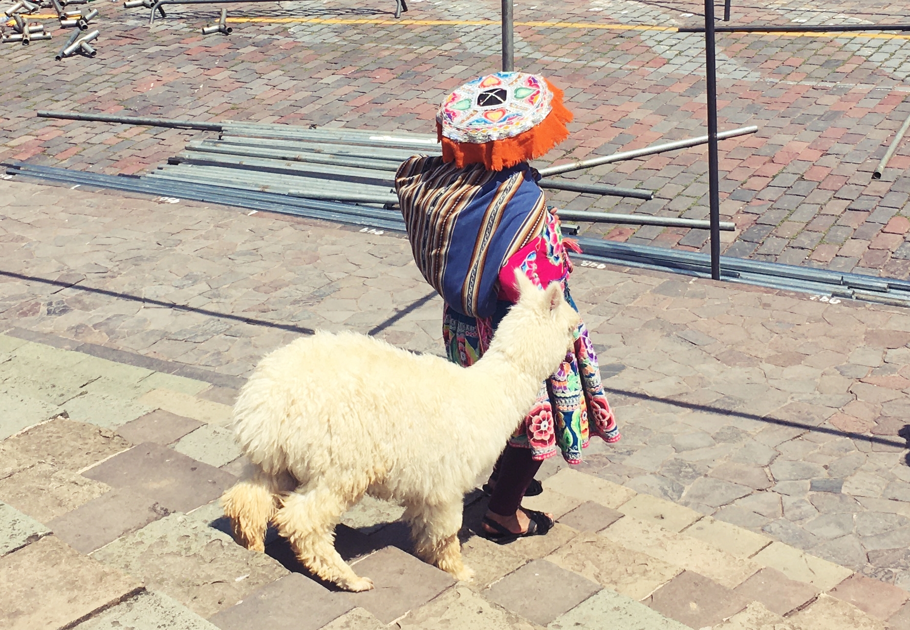 ペルー, クスコ, Cusco, Alpaca, アルパカ, 写真