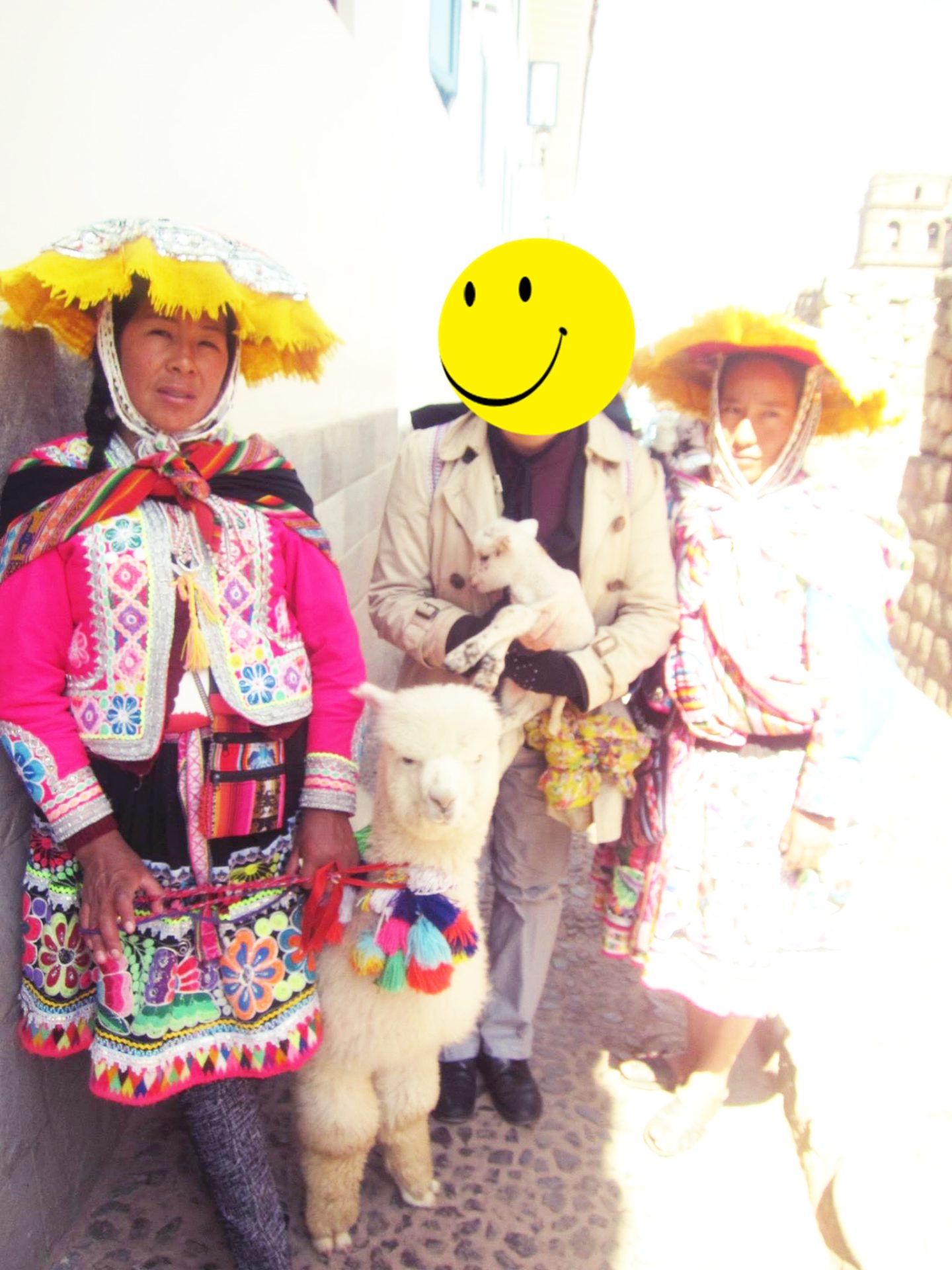 ペルー, クスコ, Cusco, Alpaca, アルパカ, 写真