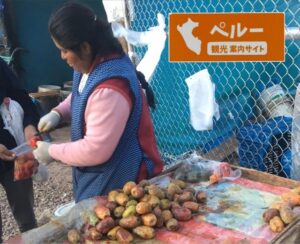 南米, ペルー, クスコ, アンデス, 季節, 果物, フルーツ, サボテン, tuna